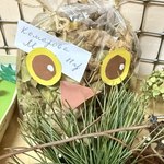 Photo 2025 12 08 09 30 38