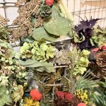 Photo 2025 12 08 09 30 18