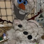 Photo 2026 02 05 17 01 45